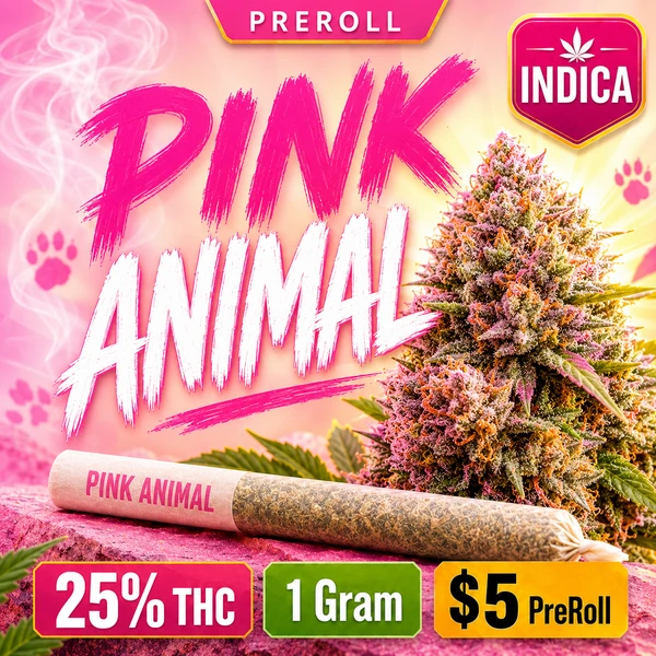 PINK ANIMAL 1G IND PRE-ROLL at Dean Park Cannabis